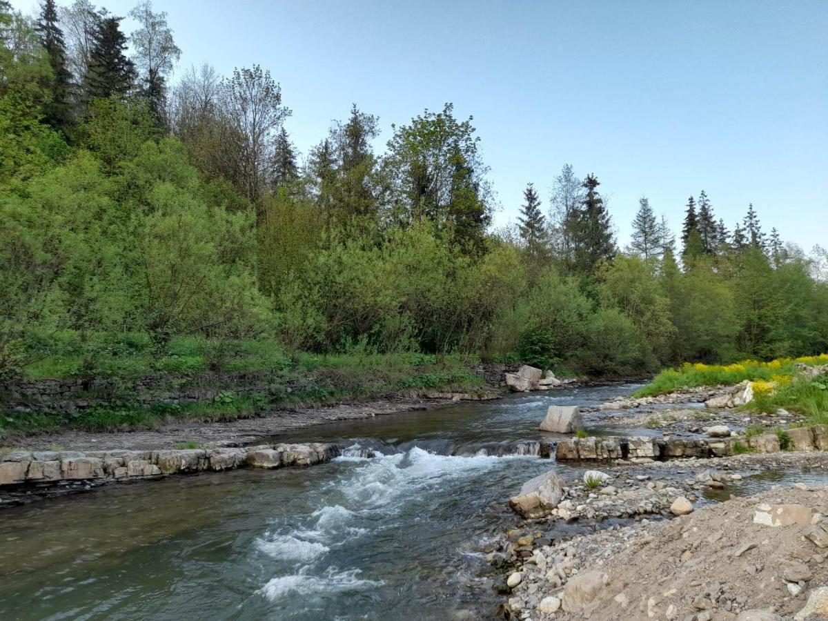 Nad Potokiem Bed & Breakfast Zakopane Bagian luar foto
